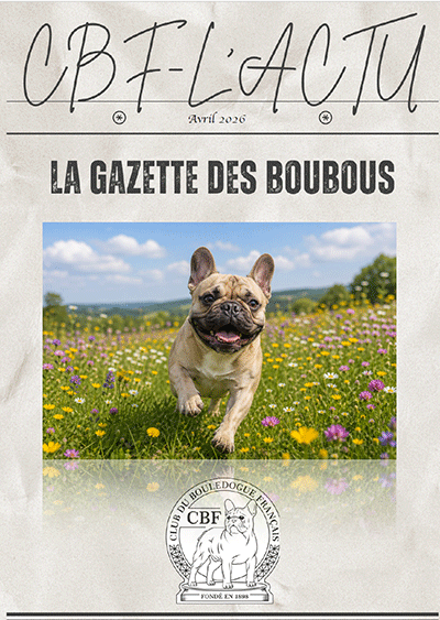 CBF L'actu du CBF au format PDF